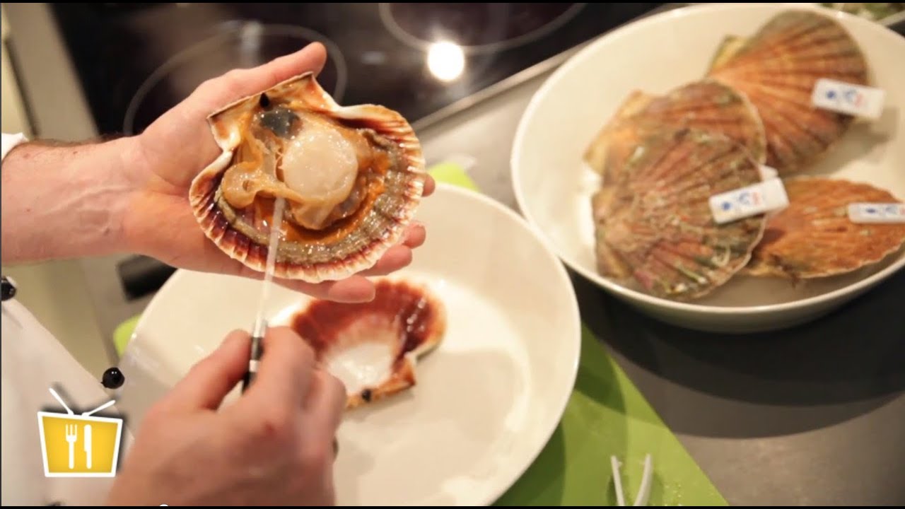 Frische Jakobsmuscheln vorbereiten  - Französische Küche mit Pierre