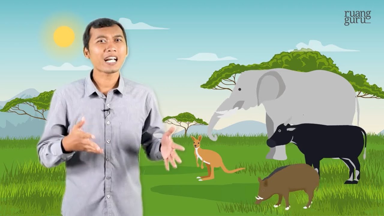 Video ruangbelajar - Geografi XI SMA - Letak Geologis Indonesia | Bimbel Online