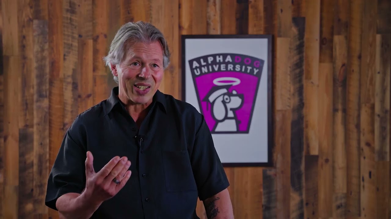 Why Alpha Dog University