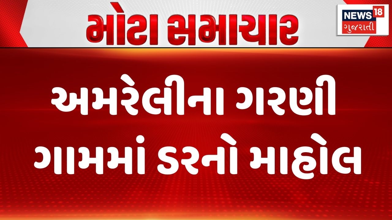 Amreli News | અમરેલીના ગરણી ગામમાં ડરનો માહોલ |  Babara Village | Gujarati News|News 18 Gujarati