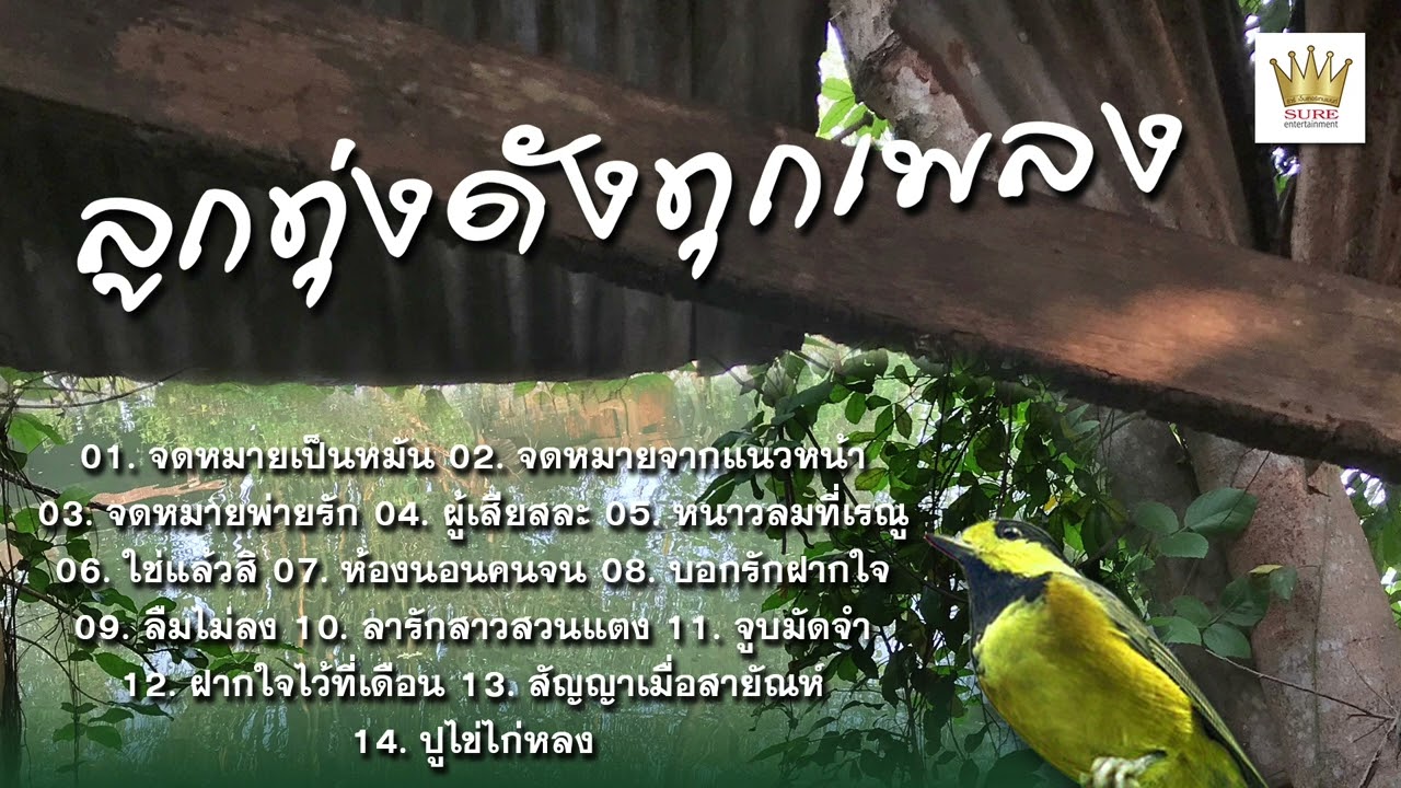 ลูกทุ่งดังทุกเพลง