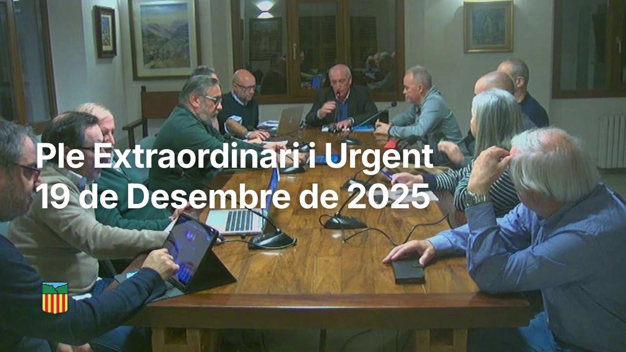 Ple Extraordinari urgent | 19 de desembre de 2025