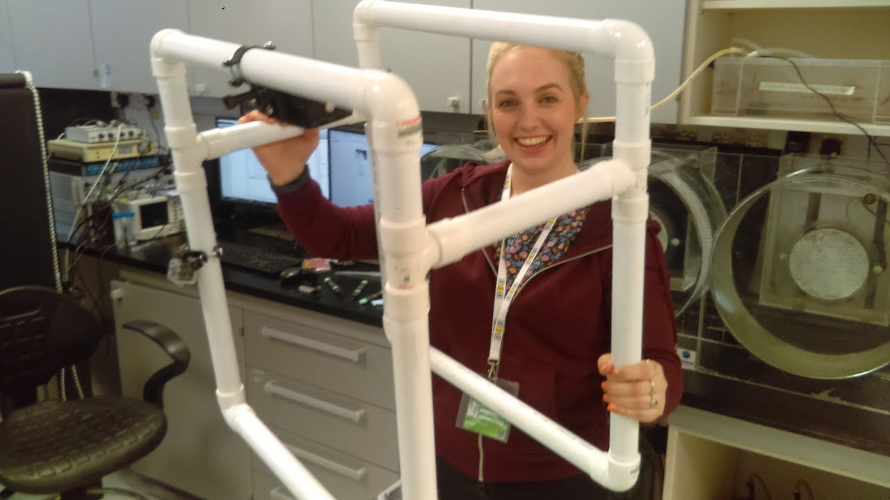 Jelly hunting camera platform - frame assembly