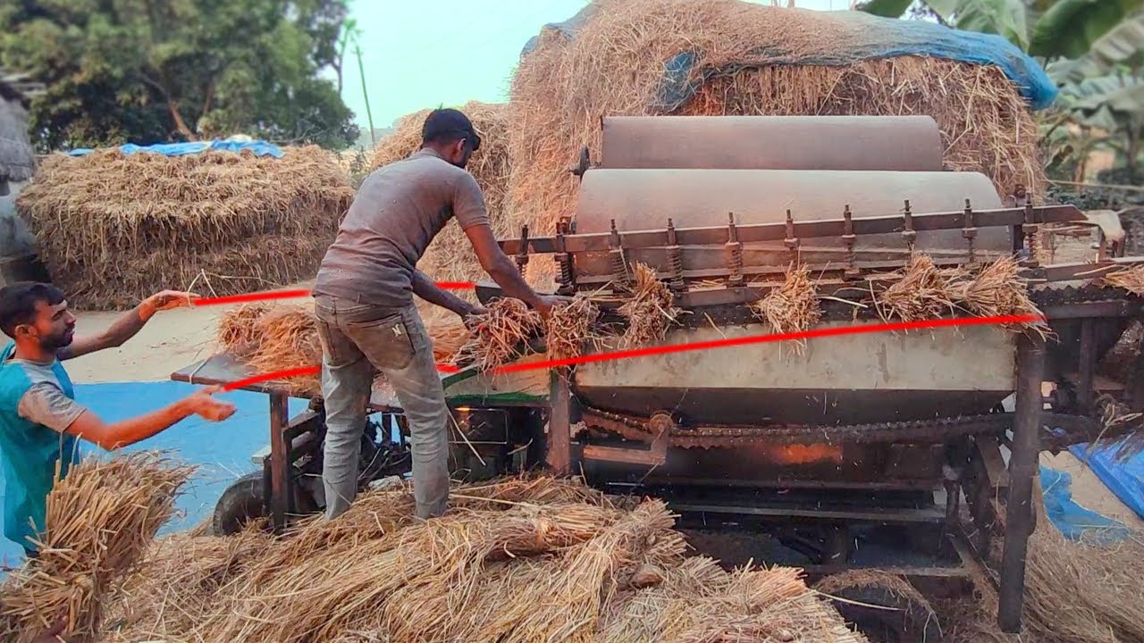 Amazing Technology, Threshing machine | New Head Feed Thresher Machine, technology test