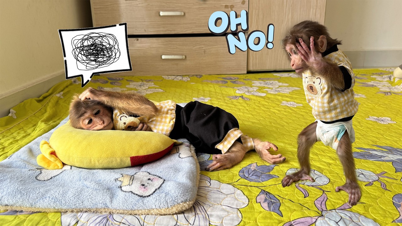 Sunny is shocked when she hears that Lucky has fallen seriously ill!