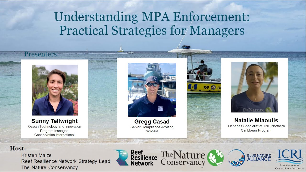 Understanding MPA Enforcement: Practical Strategies for Managers