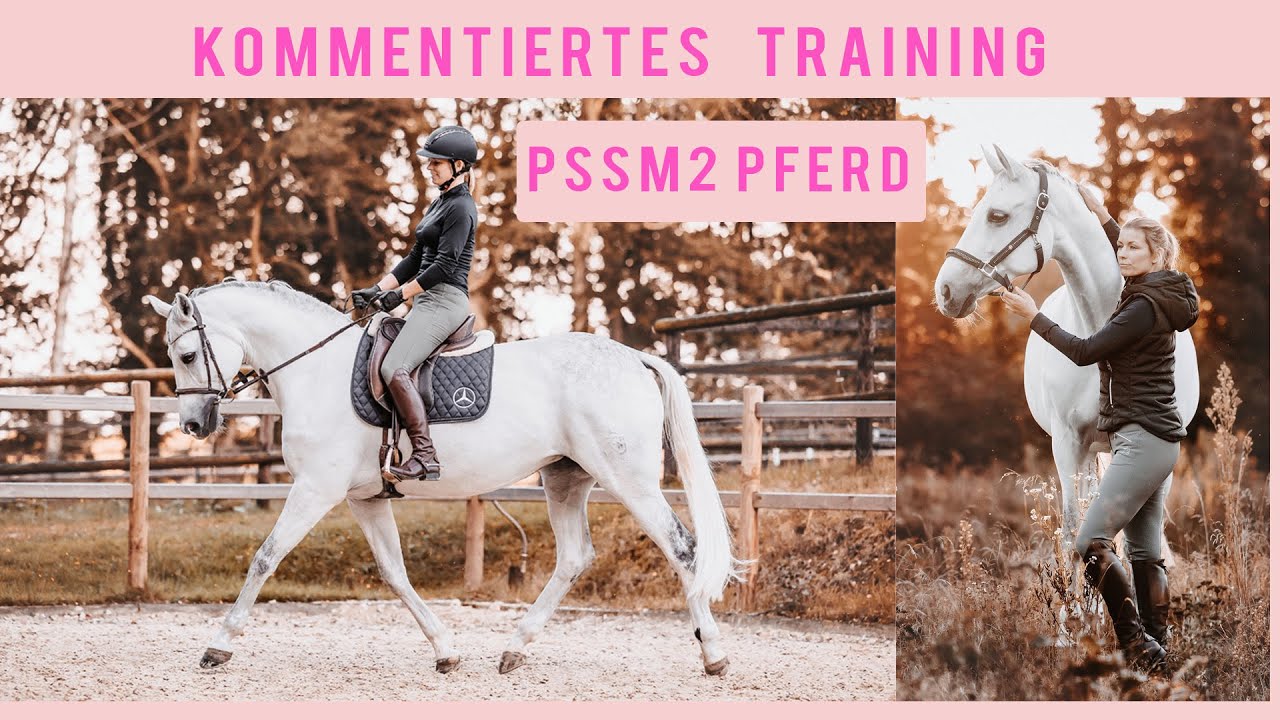 Training mit PSSM2 Pferd kommentiert I DAS mache ich anders I Cobies Entwicklung trotz Krankheit