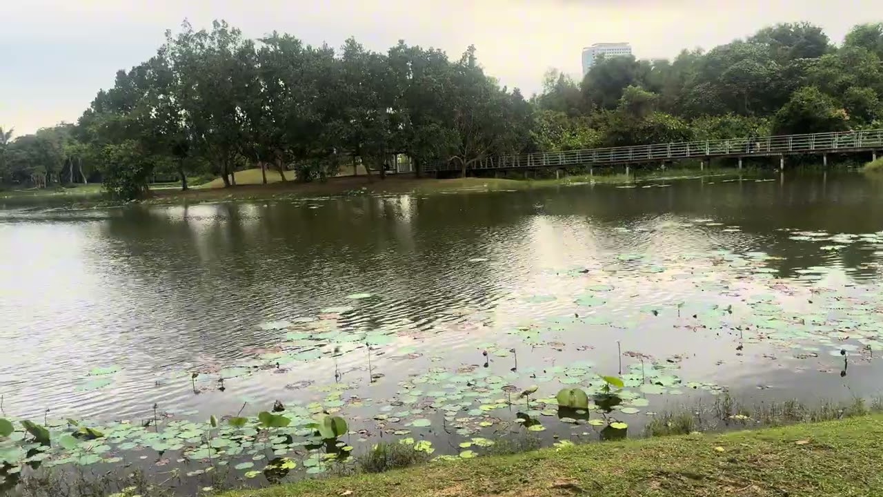 Cyberjaya’s Hidden Lake Park 🌅 Full Tour
