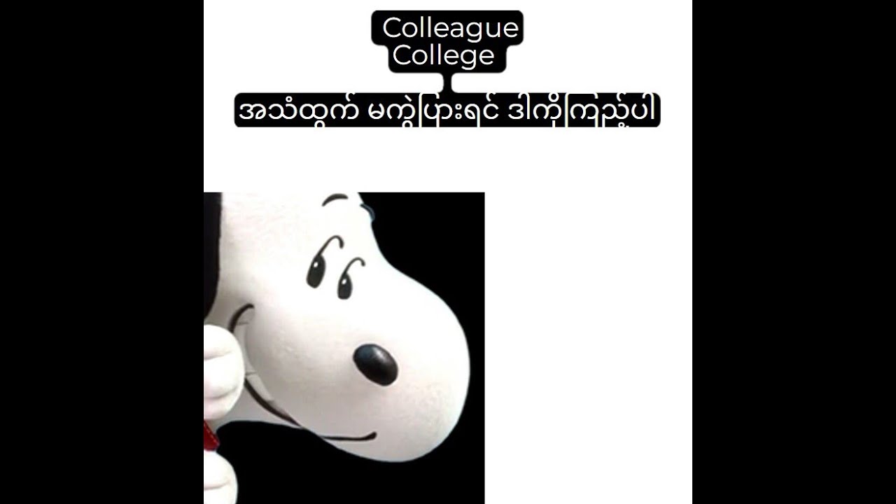 IELTS in Burmese by May Pyae Phyo Thu