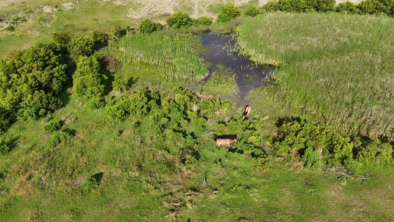 Rachel Carson Nature Preserve