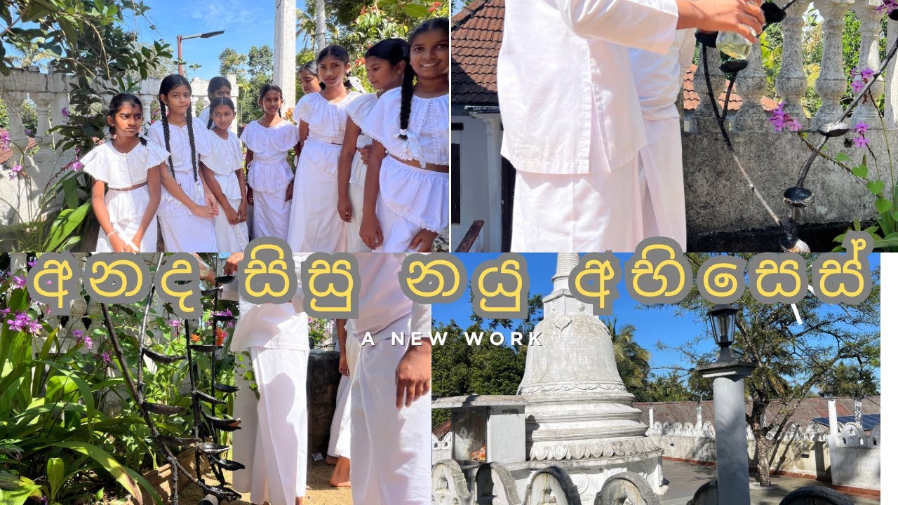 මලක් වී මා පිපෙනවා නම්🌸 New Work With My Kiddos🌿🙏
