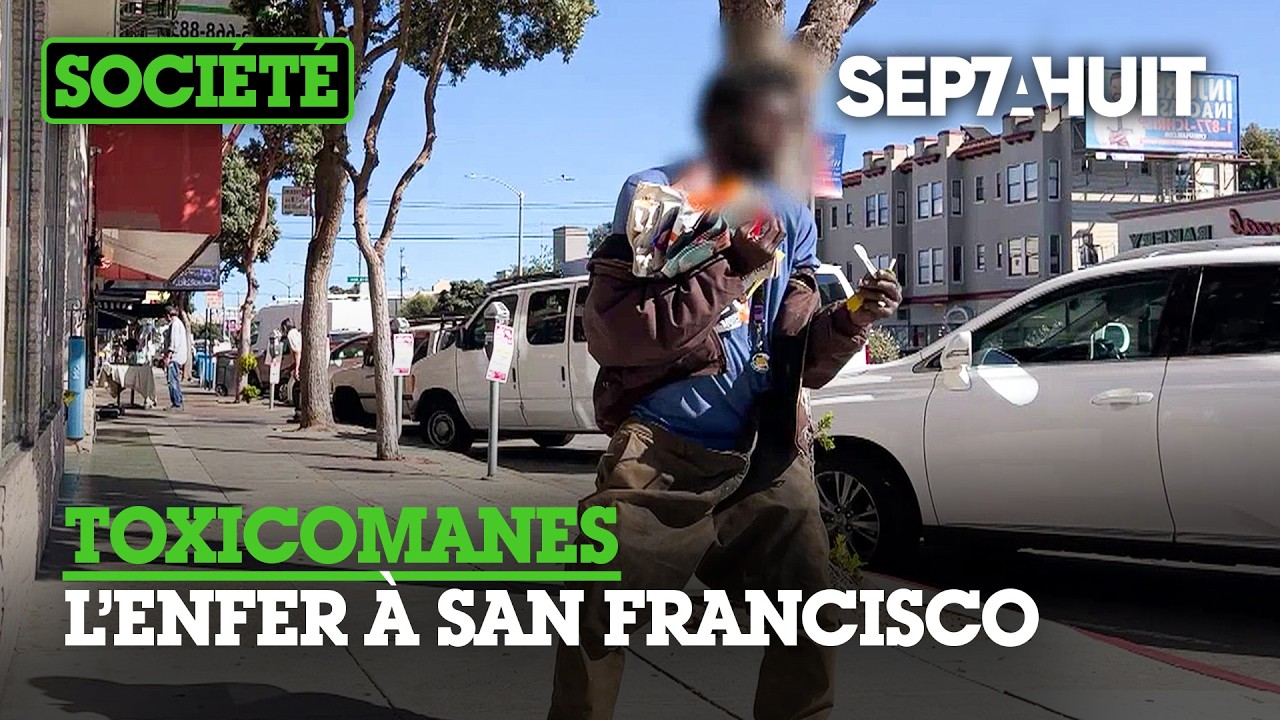San Francisco : permis de voler ? | Sept à Huit