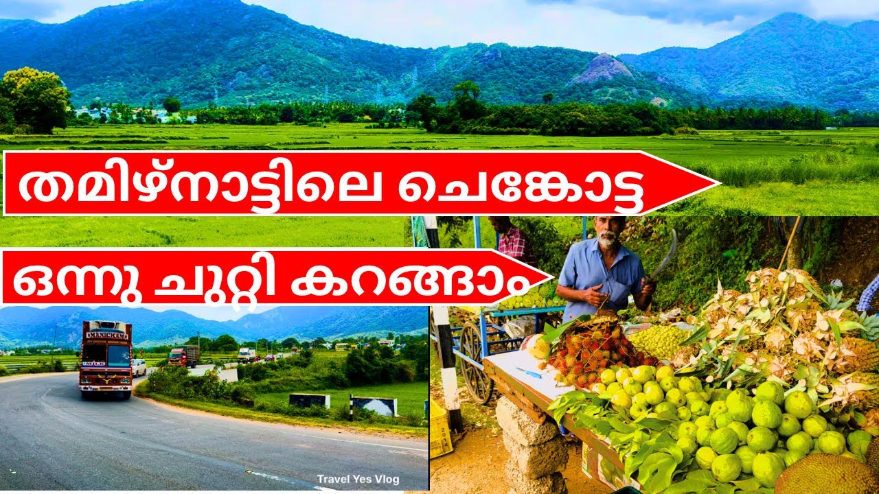 തമിഴ് നാട്ടിലെ ചെങ്കോട്ട ഗ്രാമത്തിലെ ഒരു കറക്കം | A Trip To Sengottai | Tamilnadu 