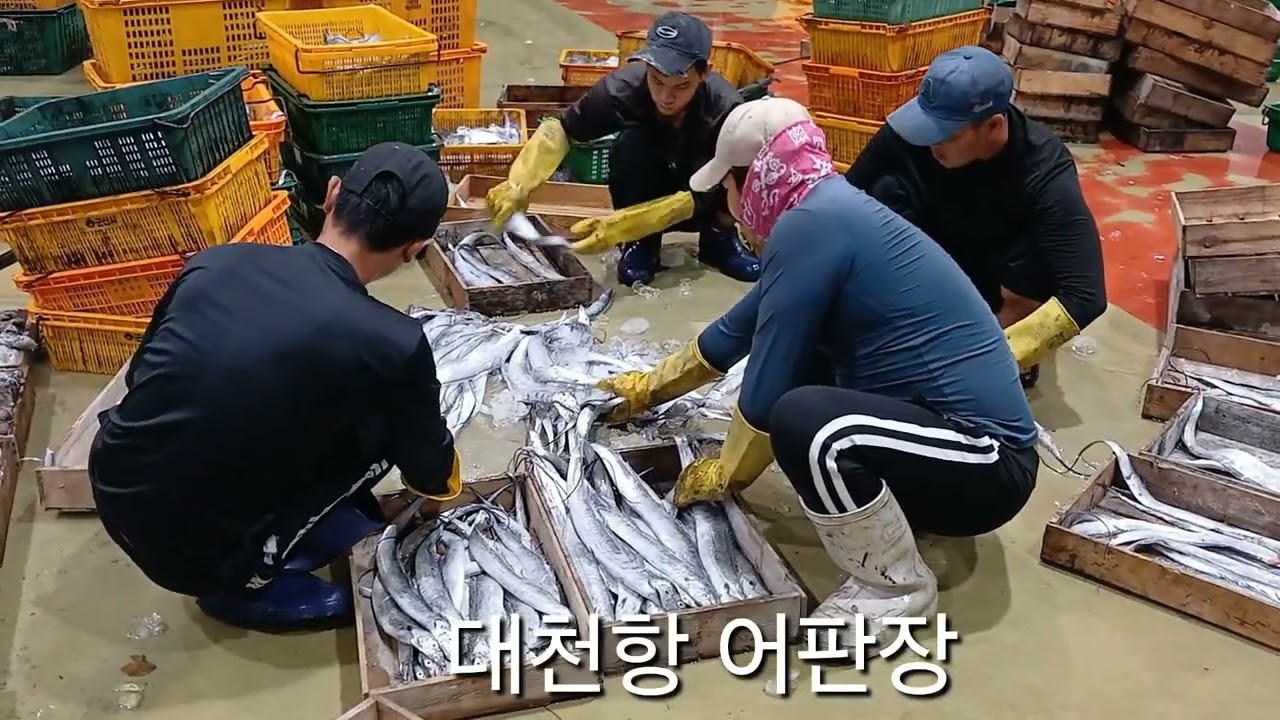대천항 어판장 방문 
