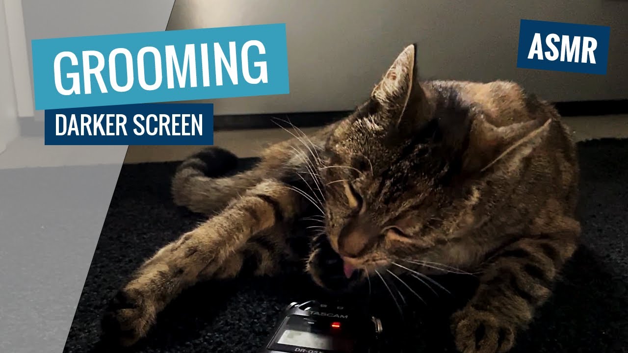 Grooming in the Dark | Cat ASMR 👅🎧 (Super Relaxing Grooming Sounds)