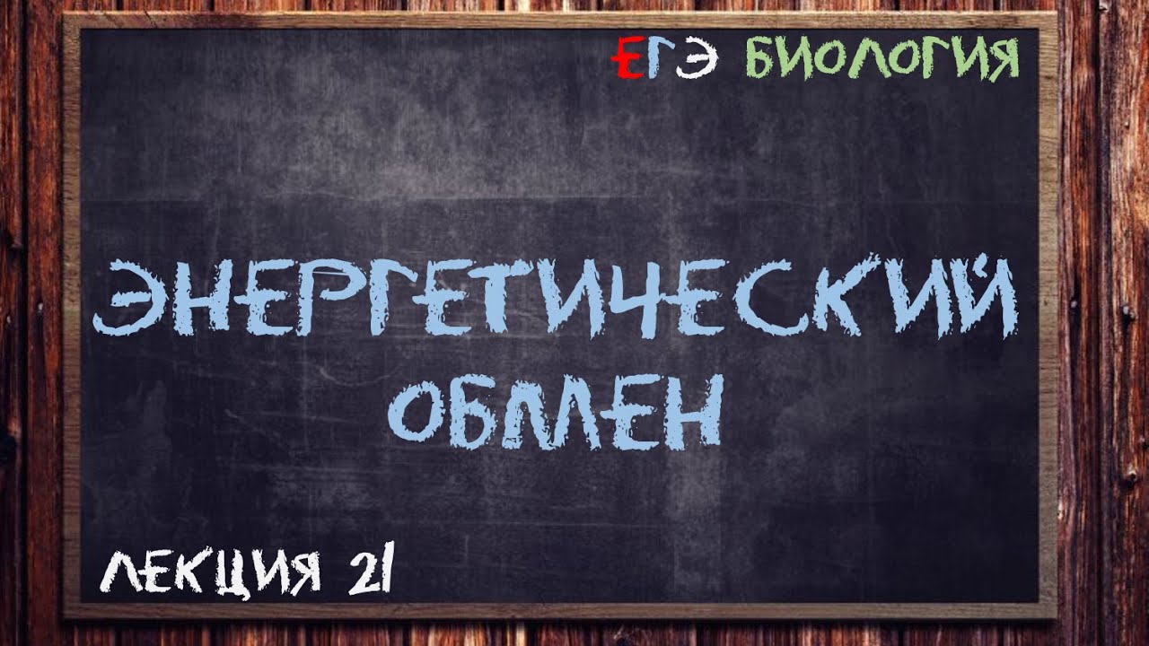 Л.21 | ЭНЕРГЕТИЧЕСКИЙ ОБМЕН | ОБЩАЯ БИОЛОГИЯ ЕГЭ
