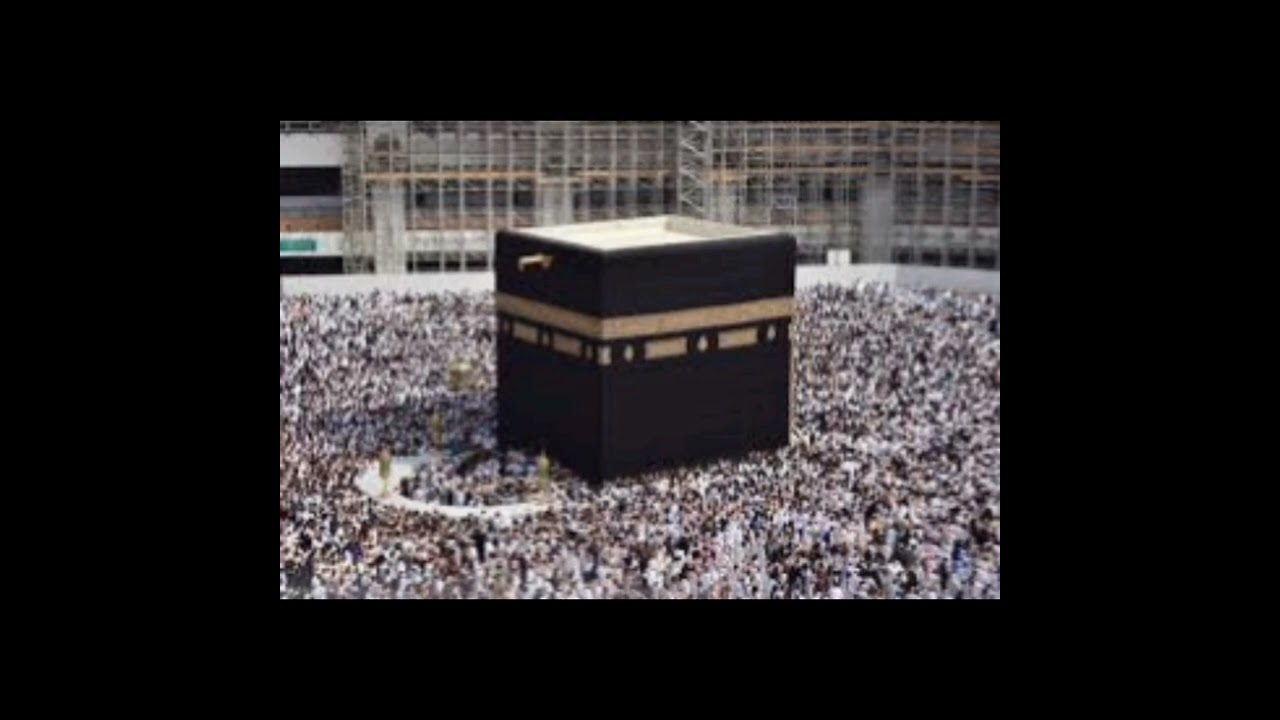 د ١ مختصر أحكام الحج - L 1 Rules of Hajj