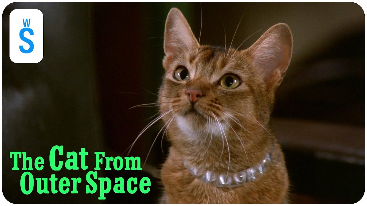 The Cat from Outer Space (1978) | Scene: In Need of Some Help