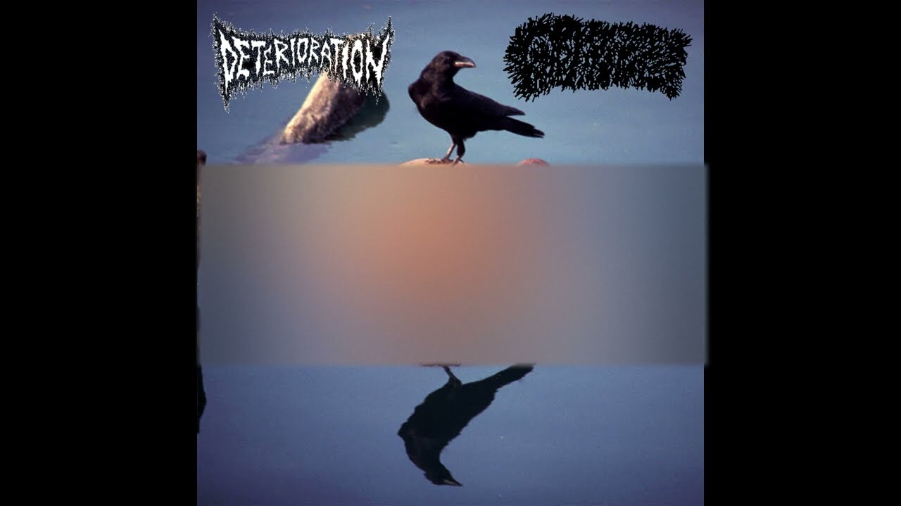 Deterioration / Gastroptosis - split FULL ALBUM (2016 - Grindcore / Goregrind)