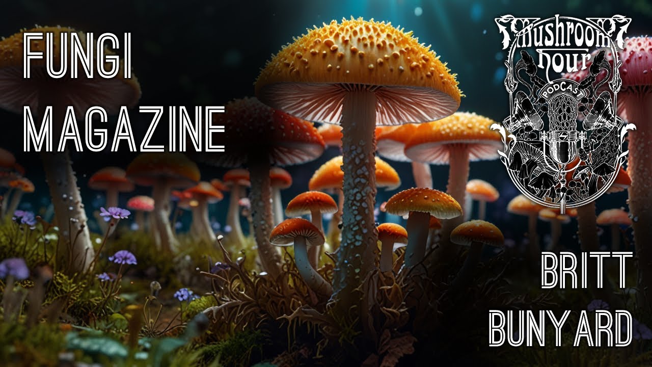 Fungi Magazine & Telluride Mushroom Festival | Britt Bunyard
