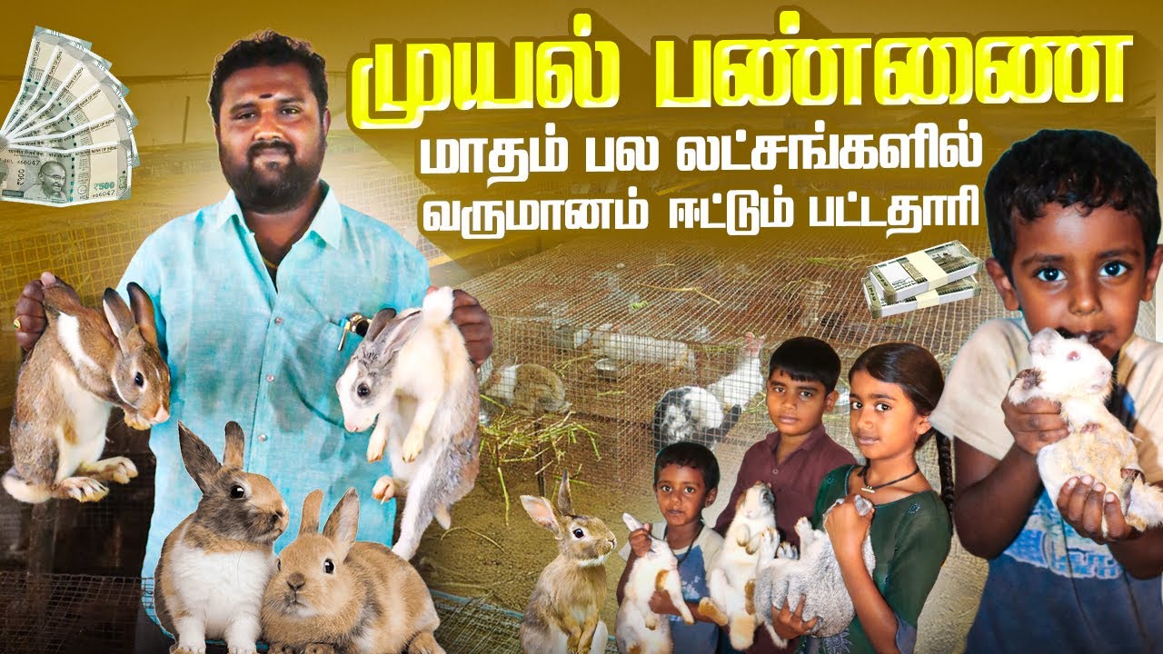 Software Degree படிச்சவர்… இன்று முயல் பண்ணை மூலம் மாத வருமானம் லட்சங்களில்! #rabbitfarming