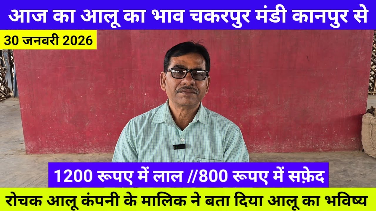 आज का आलू का भाव चकरपुर मंडी कानपुर से रोचक आलू कंपनी के मालिक ने बता दिया आलू का भविष्यAalu Ka Bhav