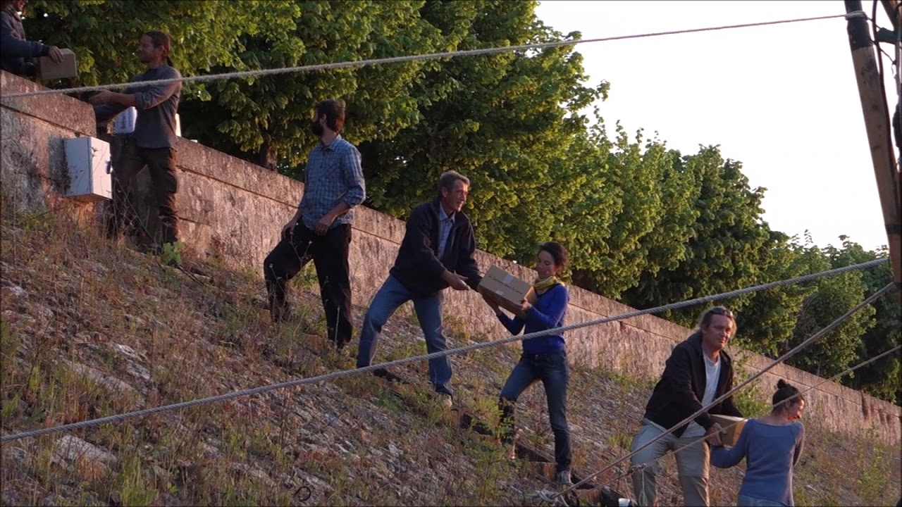 Bréhémont port 2019