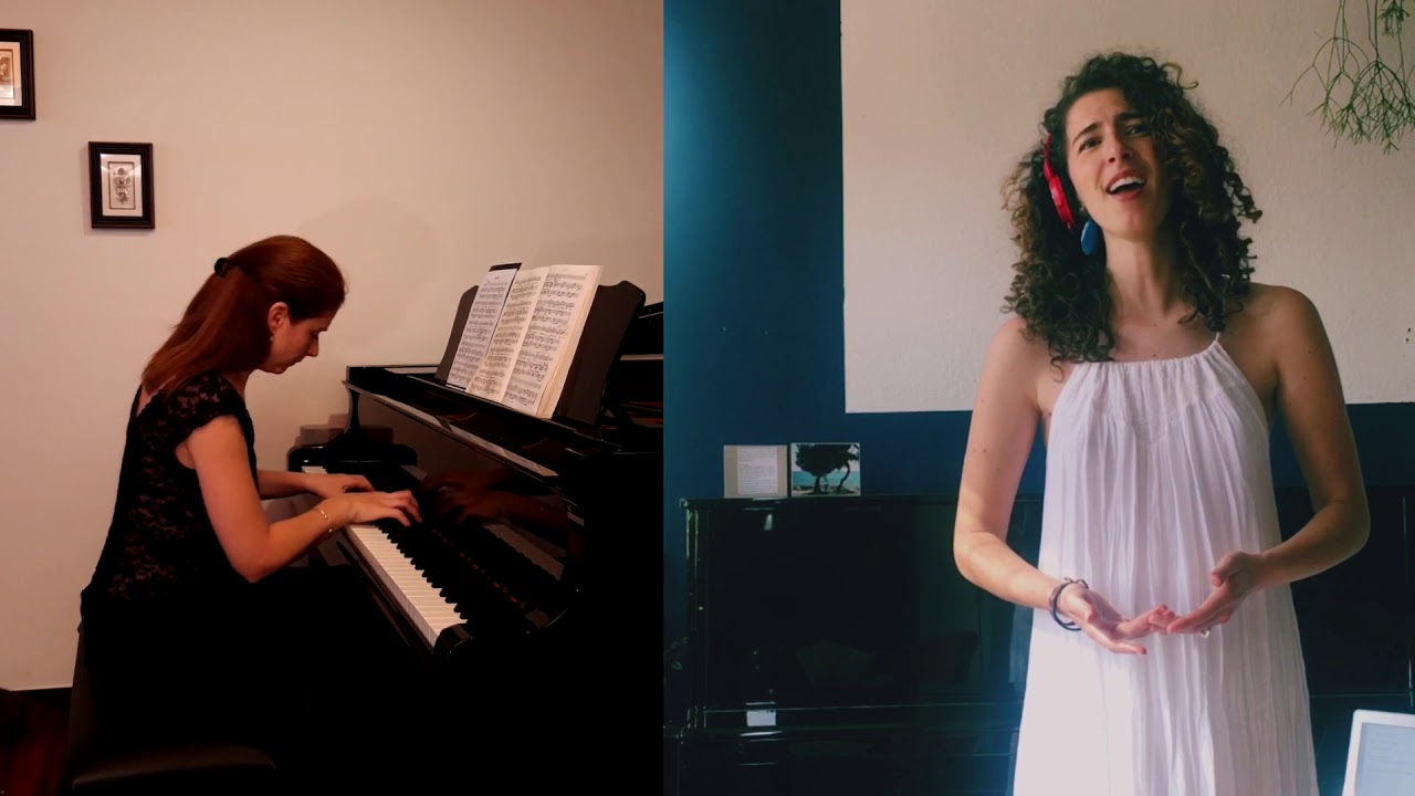 Franz Schubert Winterreise 