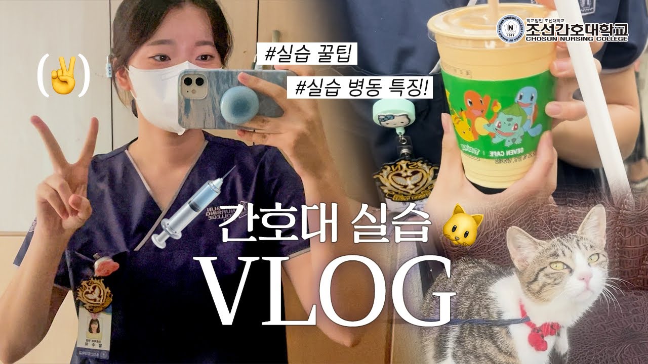 📹조선간호대학교 실습 V-LOG📹
