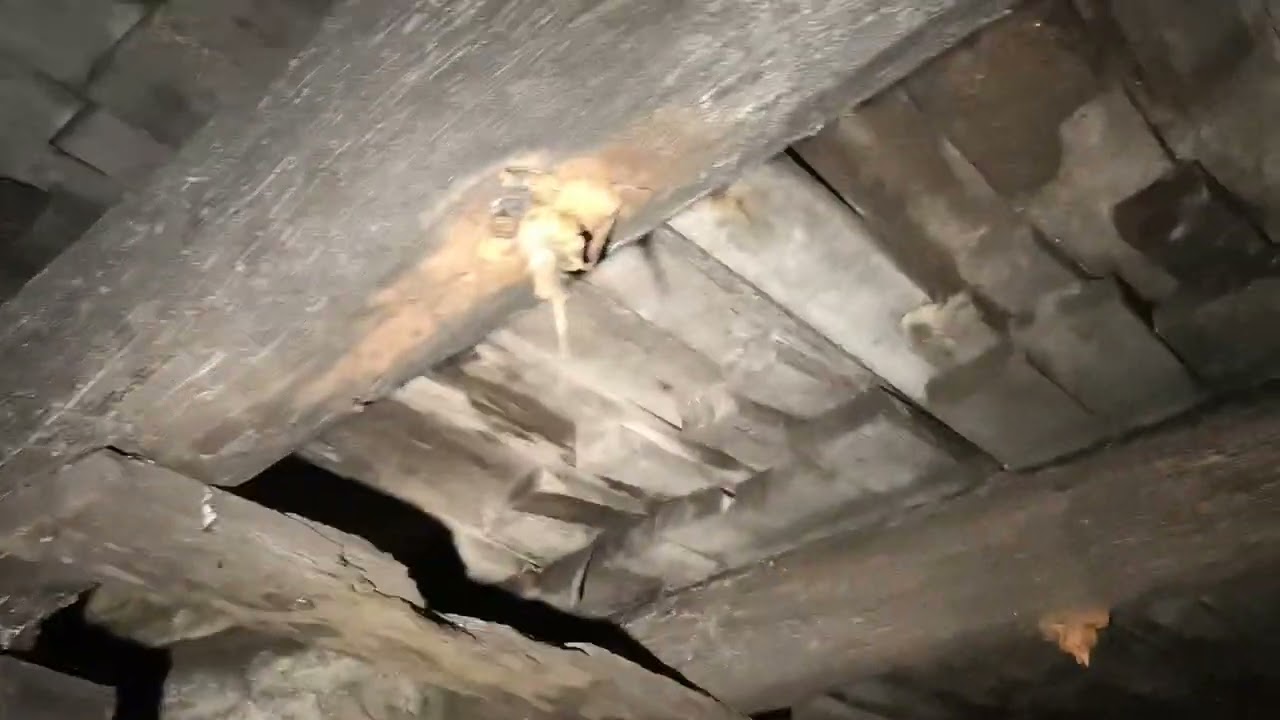 Scary as shit underground mines under the city of Ipswich QLD Australia