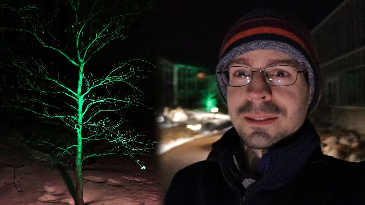 Canon SL2 in the Dead of the Night Photo Vlog