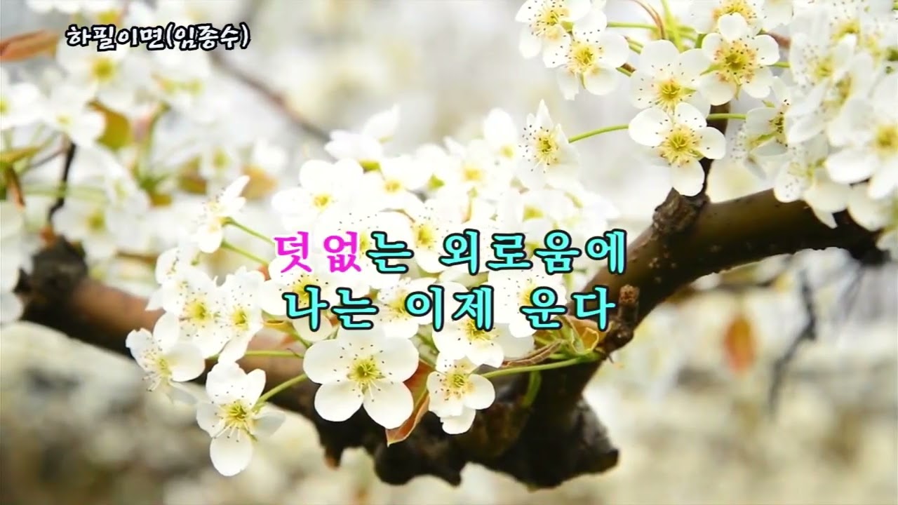 하필이면(임종수), #가요, #노래, #휴식, #힐링, #shorts, #잔잔한, #발라드, #조용한, #기쁨, #kpop