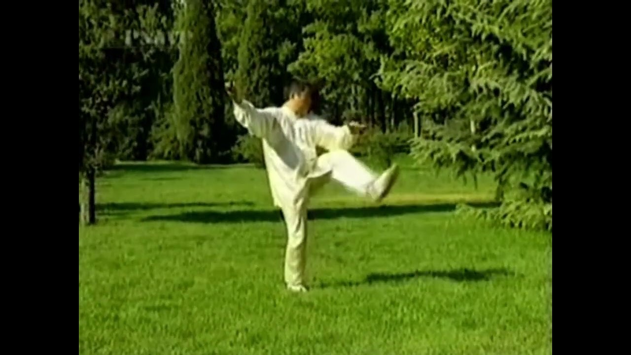 Bagua Tai Chi Chuan