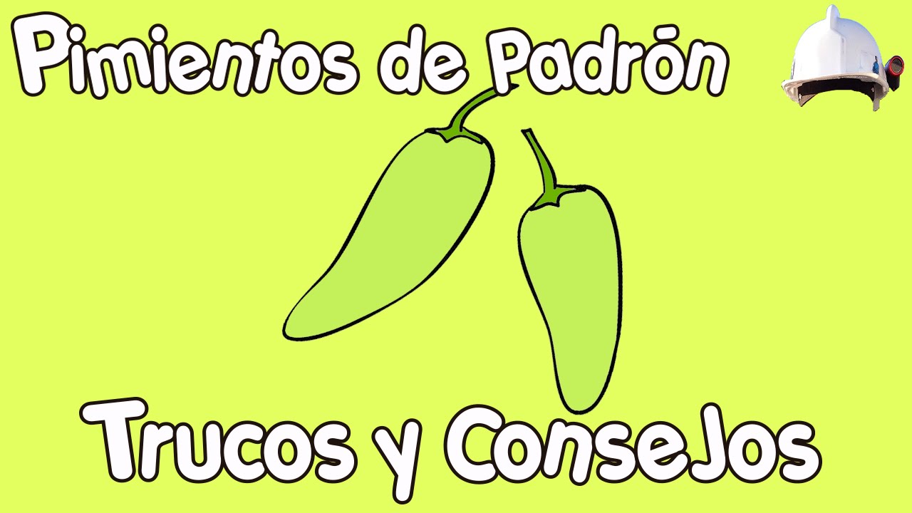 PIMIENTOS DE PADRÓN | Trucos y consejos.