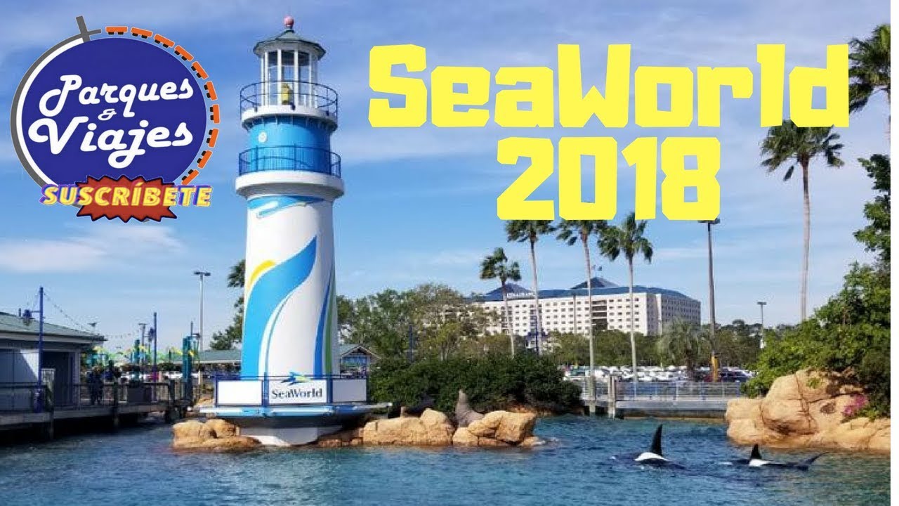 SEA WORLD MEJORES ATRACCIONES | PARQUES Y VIAJES - Viaje Sorpresa