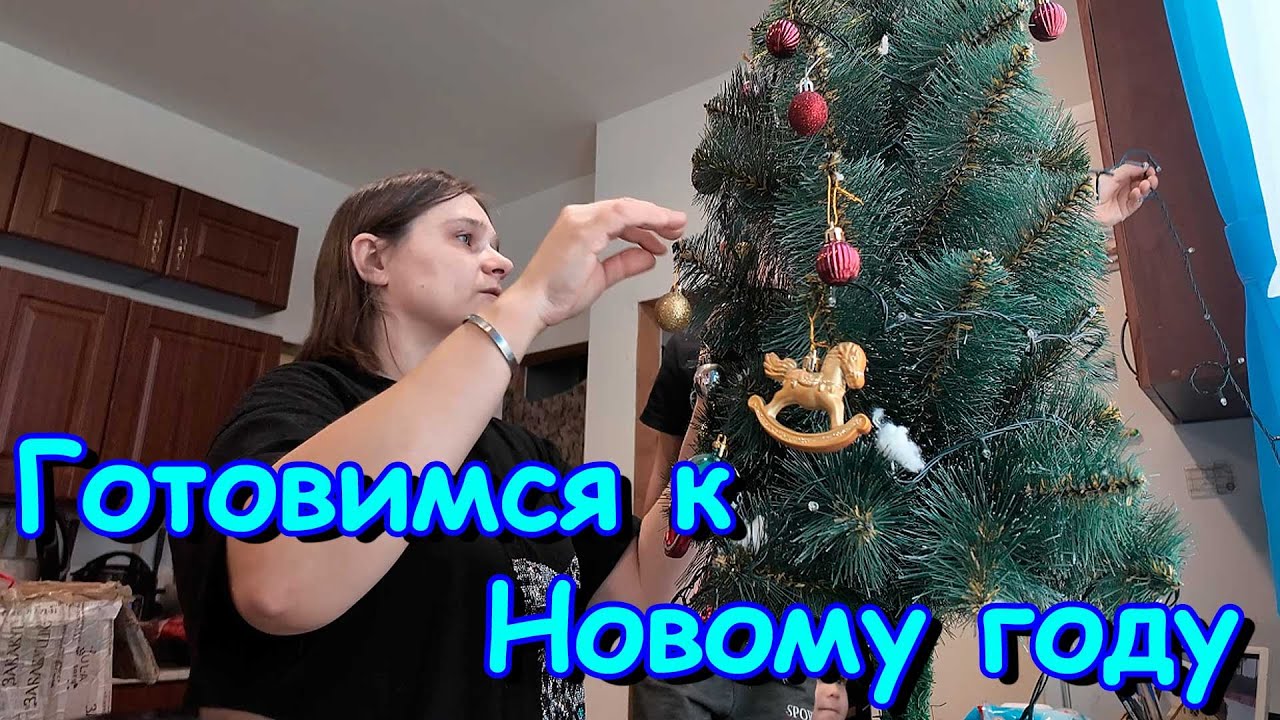 Занялись украшением дома и елки. Конфликт.Покупки в интернете. (12.25г.) Семья Бровченко.