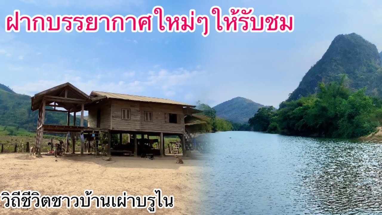 วิถีชีวิตของชนเผ่าบรูไนพร้อมกับธรรมชาติที่สวยงาม