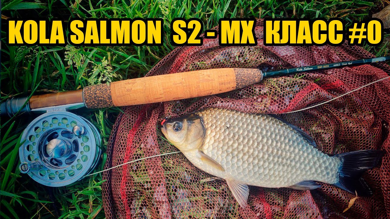 KOLA SALMON  S2 MX  КЛАСС #0
