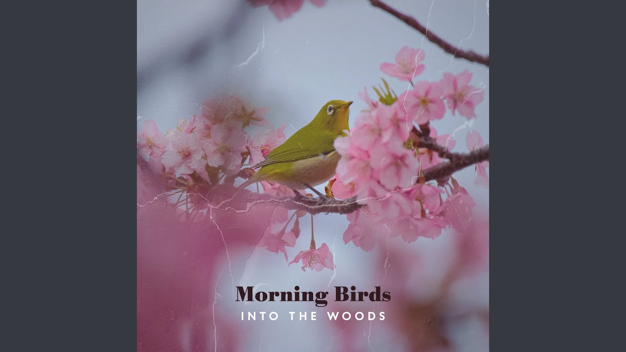 Gentle Birds