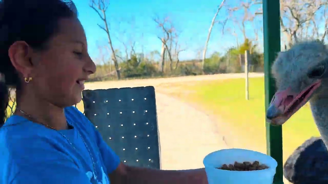 Visitando el zoologico de alvin tx#foryou #viral #zoo #subscribe #parati 
