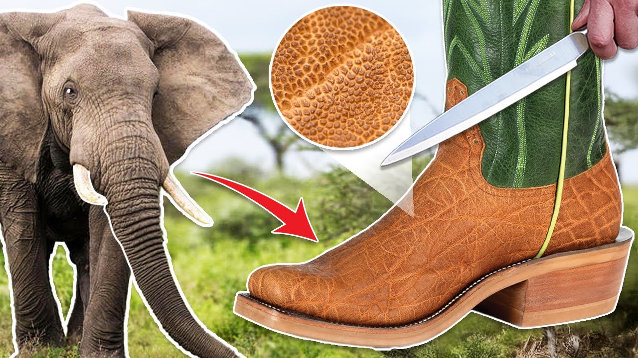 YouTube demonetized this vid, $900 Elephant cowboy boots - Rios of Mercedes