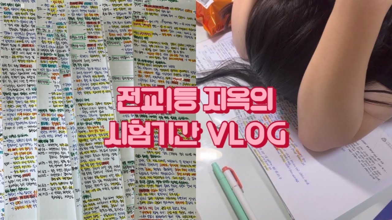 전교1등 지옥의 시험기간🔥🔥| 중간고사 D-10부터 D-day까지 | 고1 2학기 중간