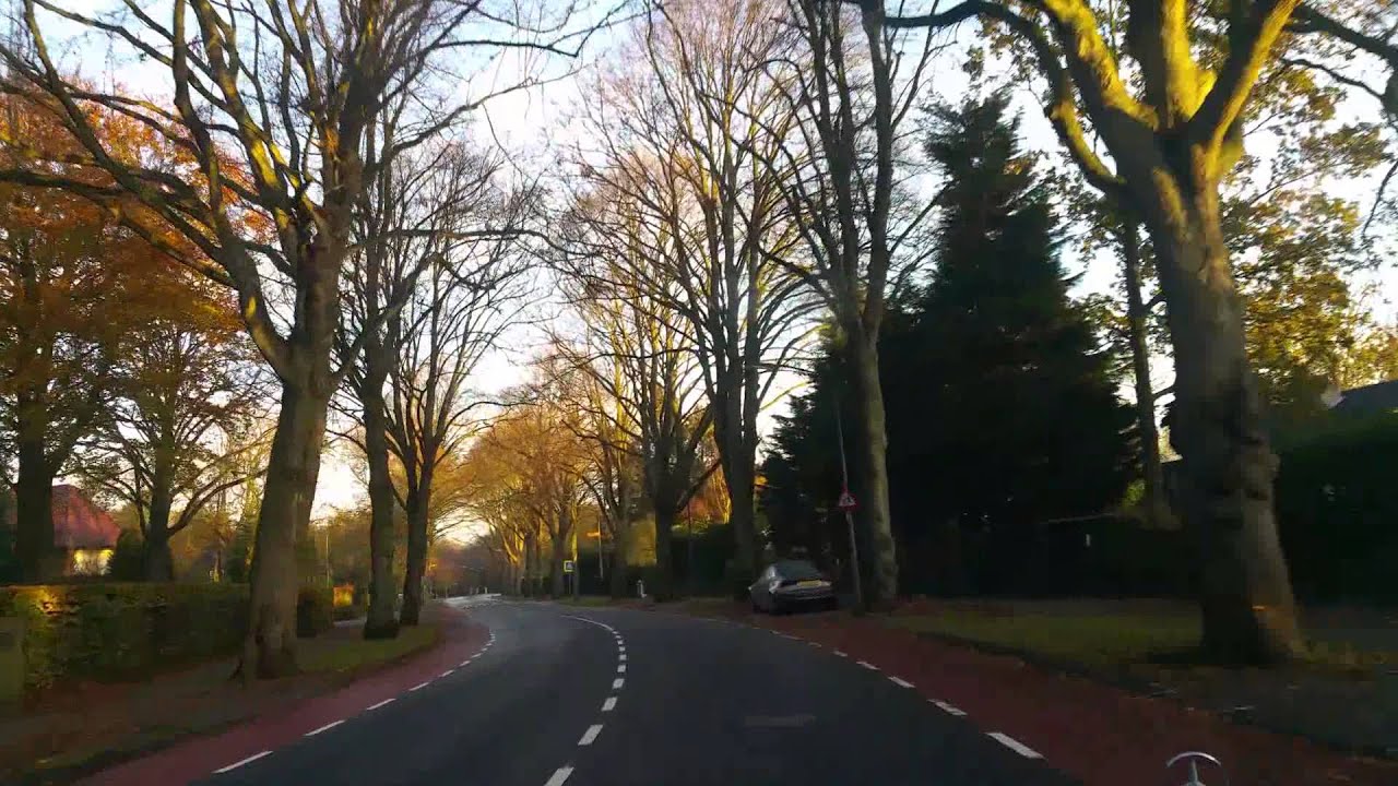 Aerdenhout, Overveen en Bloemendaal in herfsttinten, deel 1, met mist.