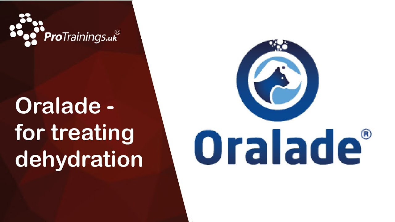 Oralade - If you have pets you need Oralade to treat dehydration in pets which can be fatal