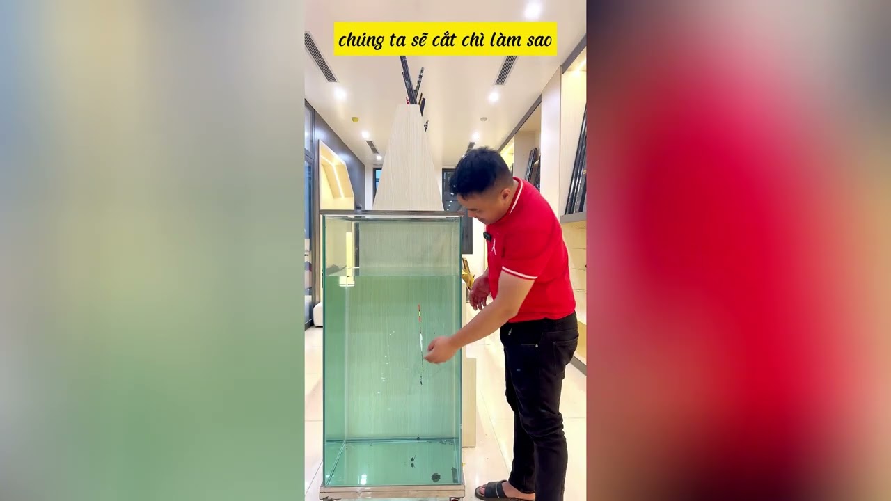 Hướng dẫn cân phao lửng cho người mới | Thế Giới Fishing