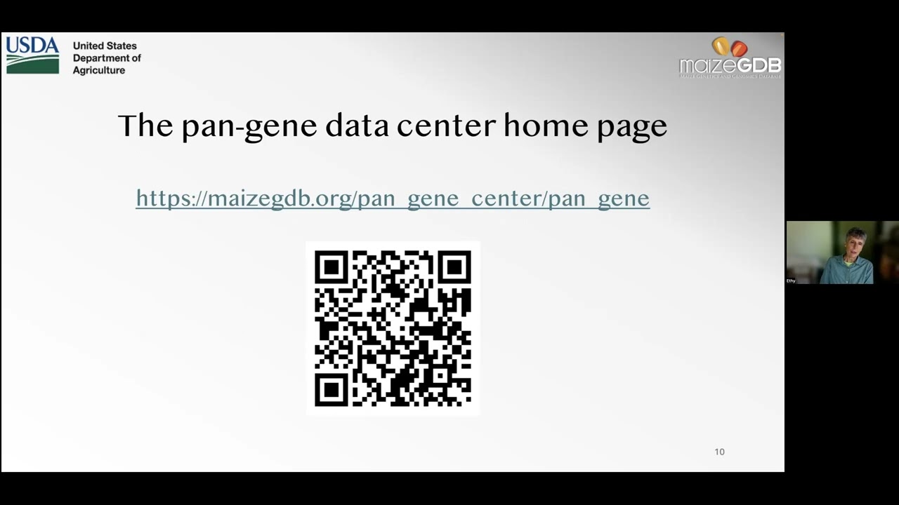 Pan-genomic resources at MaizeGDB