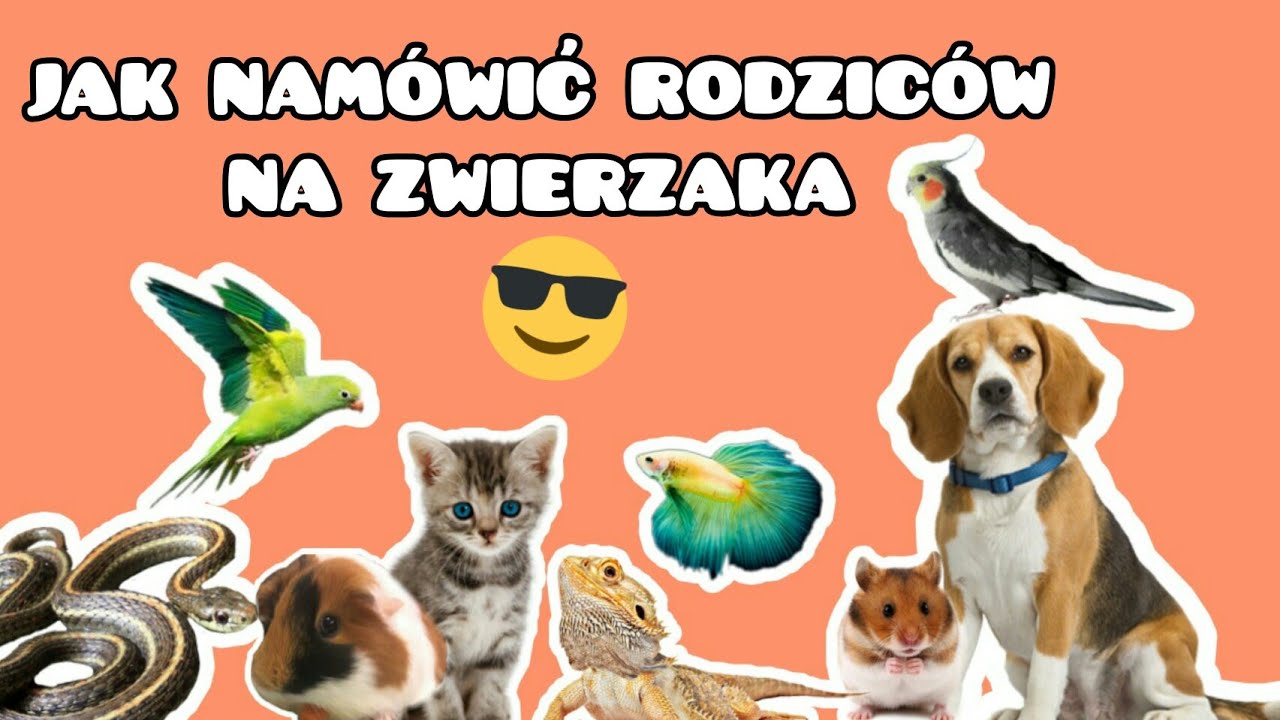 Jak namówić rodziców na psa (bądź inne zwierzę)