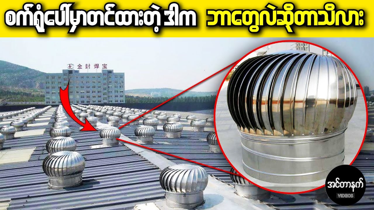 ၉၉ ရာခိုင်နှုန်းသော လူတွေမသိသေးတဲ့ ကမ္ဘာပေါ်ကအံ့ဩဖွယ်ရာ ဗဟုသုတများ