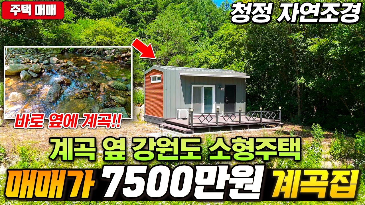 계곡 붙은 집이 7500만원!! 입이 떠억~ 벌어지는 청정자연숲이 감싸고 있는 강원도 소형주택