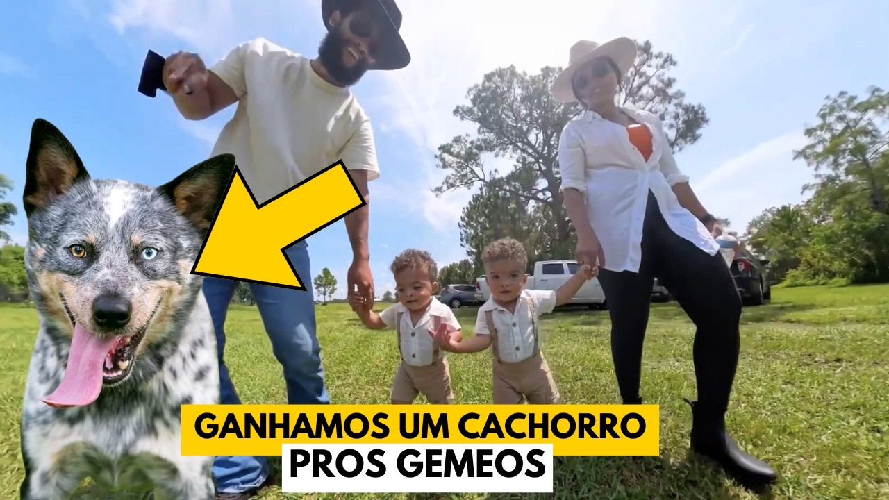 GANHAMOS UM CACHORRO PROS GEMEOS E AGORA?
